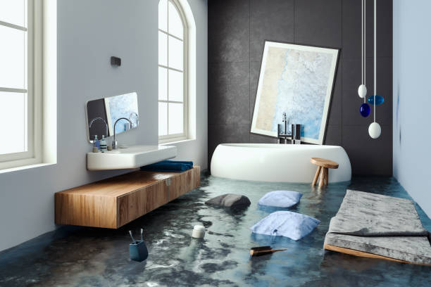 Best Ceiling water damage repair  in Rancho Viejo, TX