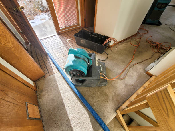 Best Sewage cleanup and water damage restoration  in Rancho Viejo, TX