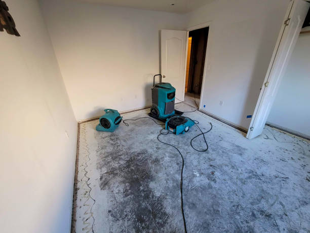 Best Emergency water damage restoration  in Rancho Viejo, TX
