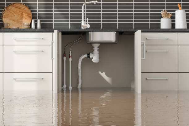 Best Water damage restoration company  in Rancho Viejo, TX